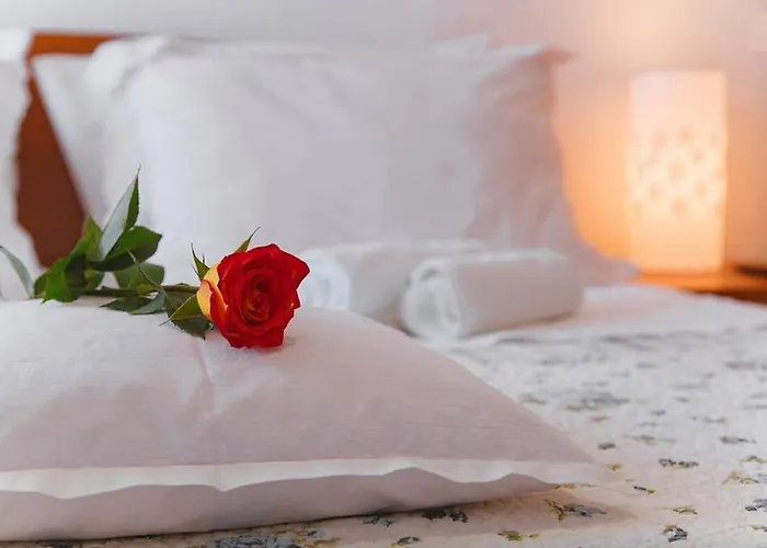 Lejlighed Pro Patria *